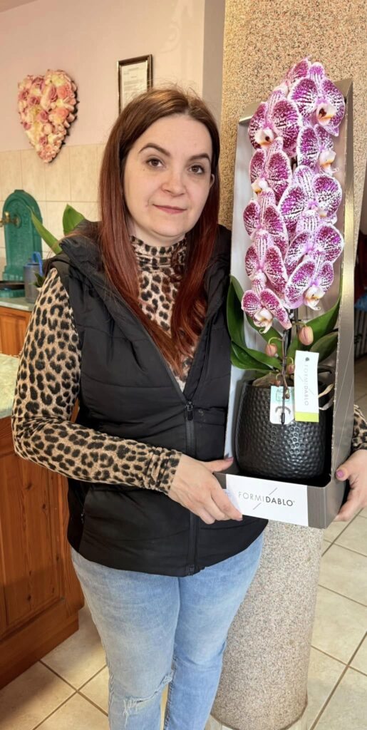 orhidea